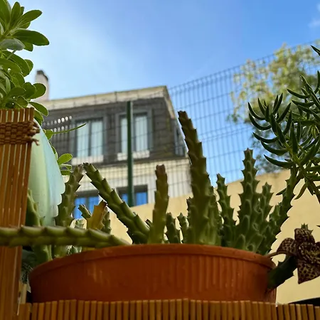 Birbantes 21 * 리스본