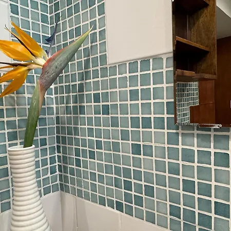 Appartement Birbantes 21 *