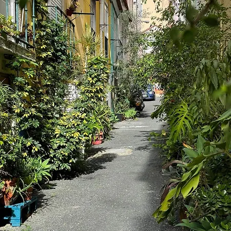 Birbantes 21 Apartamento *