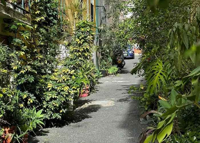 Birbantes 21 شقة *